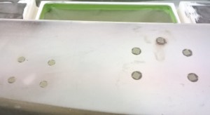 This shows the little tape squares.