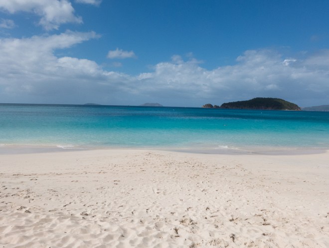 st_johns_cinnamon__1_of_1